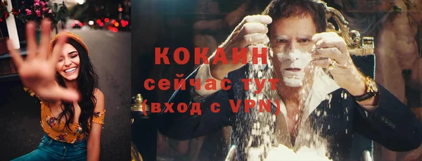 ПСИЛОЦИБИНОВЫЕ ГРИБЫ Заволжье