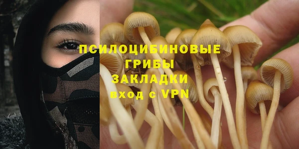 соль курить ск Заводоуковск