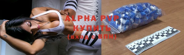 ПСИЛОЦИБИНОВЫЕ ГРИБЫ Заволжье