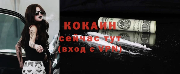 ПСИЛОЦИБИНОВЫЕ ГРИБЫ Заволжье
