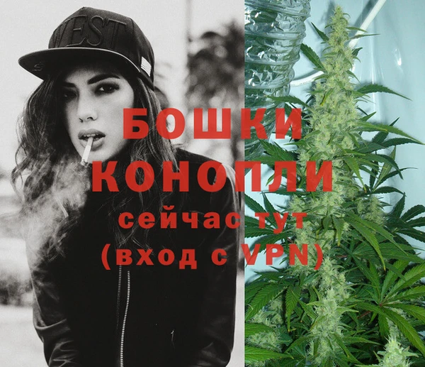 ПСИЛОЦИБИНОВЫЕ ГРИБЫ Заволжье