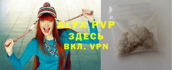 индика Заволжск