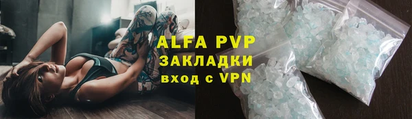 ПСИЛОЦИБИНОВЫЕ ГРИБЫ Заволжье
