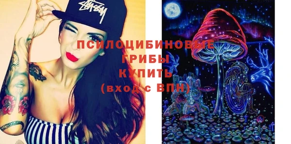 ПСИЛОЦИБИНОВЫЕ ГРИБЫ Заволжье