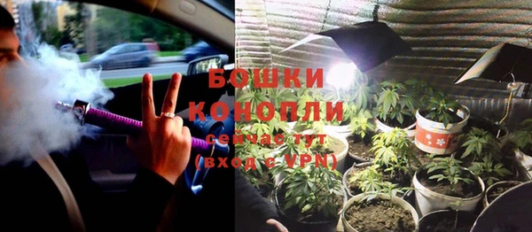 соль курить ск Заводоуковск