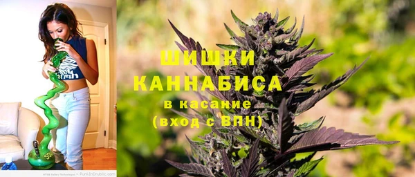 ПСИЛОЦИБИНОВЫЕ ГРИБЫ Заволжье