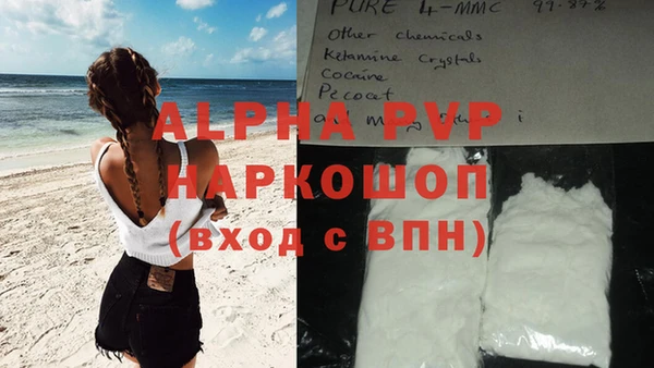 индика Заволжск