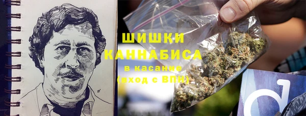 ПСИЛОЦИБИНОВЫЕ ГРИБЫ Заволжье