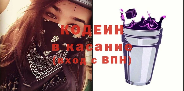 индика Заволжск