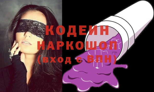 индика Заволжск
