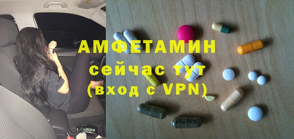 индика Заволжск