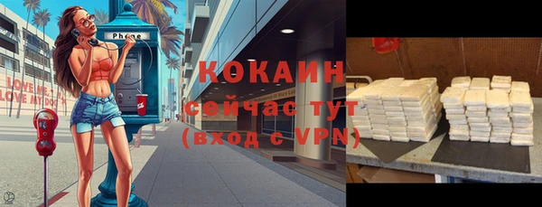 соль курить ск Заводоуковск