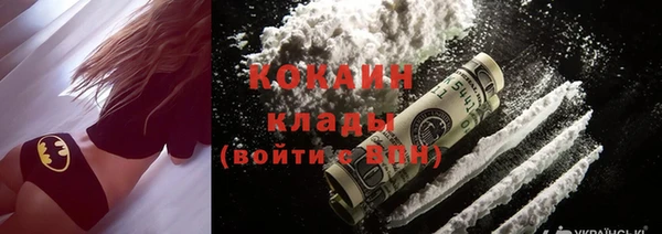 индика Заволжск