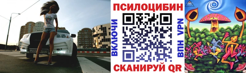 Псилоцибиновые грибы Psilocybine cubensis  Купить  Малмыж 